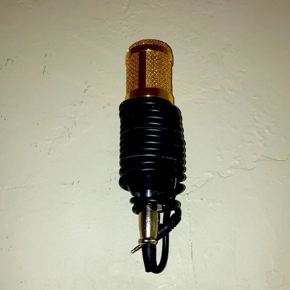 Slightly used Pc Microphone.